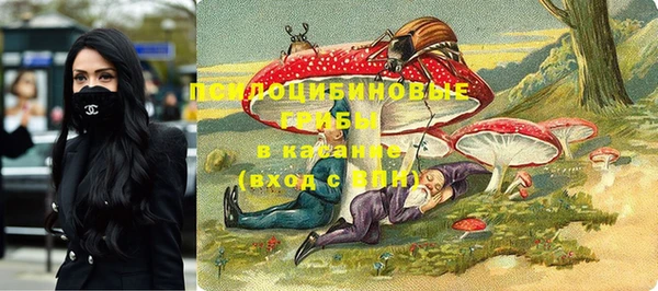 прущие грибы Алзамай