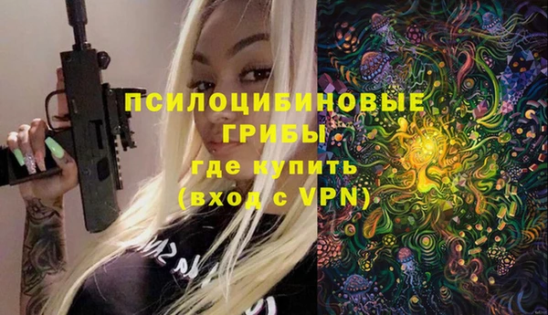 дживик Видное