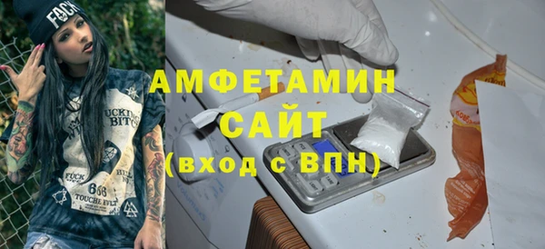 прущие грибы Алзамай