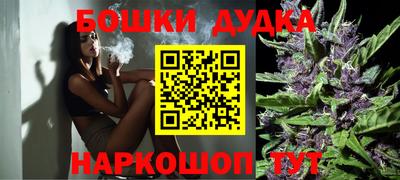 spice Бийск