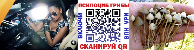 Галлюциногенные грибы ЛСД закладка Шебекино