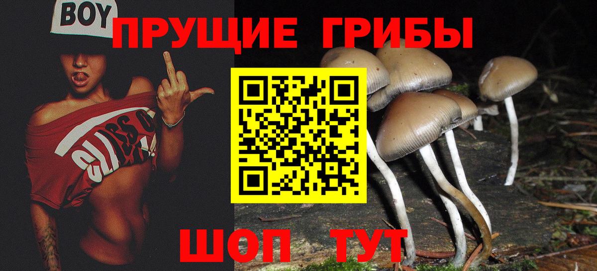 Шебекино  Галлюциногенные грибы MAGIC MUSHROOMS  Галлюциногенные грибы Magic Shrooms  Вход с VPN 